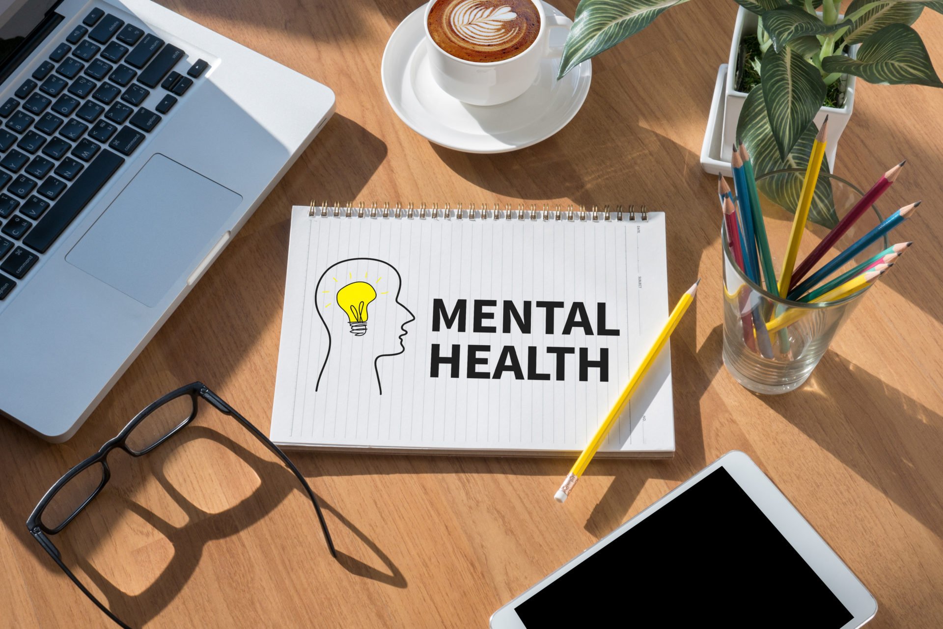Mental Health "First Aid" Course (£695 total for this 1-day course for a group of up to 12 people)