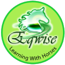 Eqwise Ltd. logo