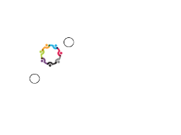 The Big White Coach