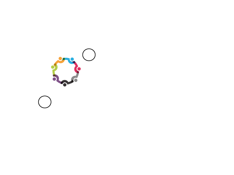 The Big White Coach logo