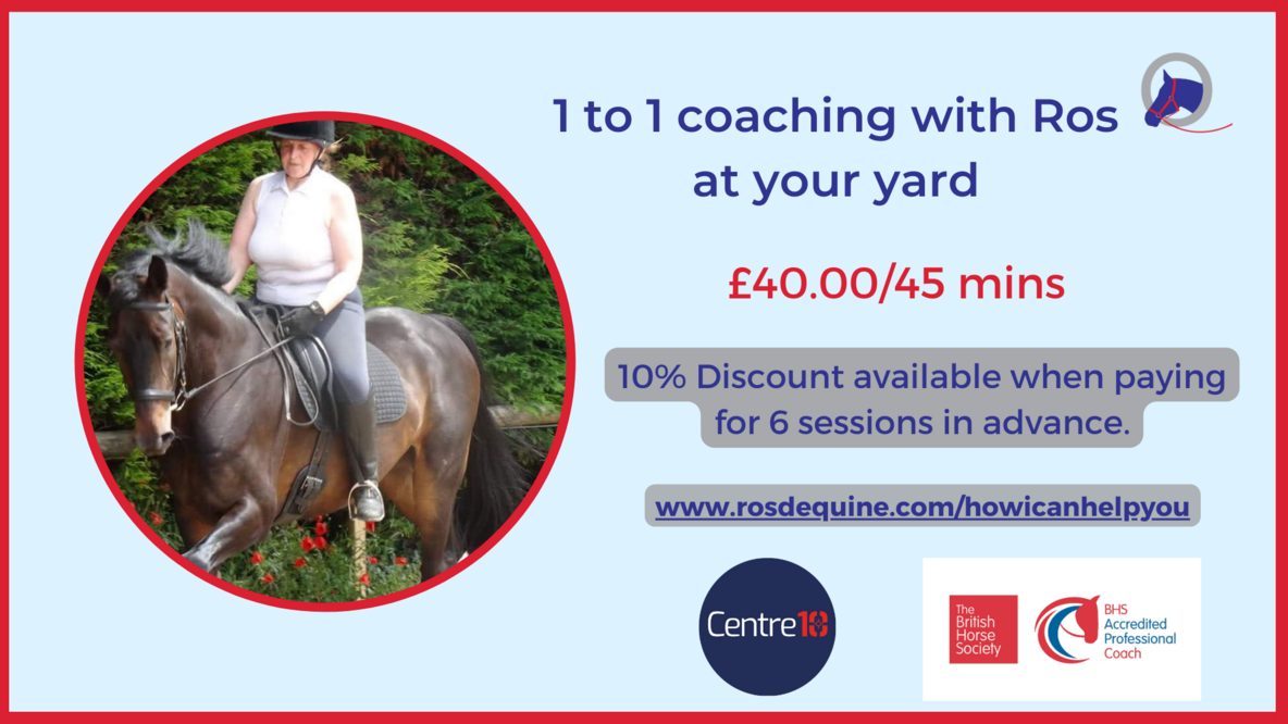 Ros Equine Coach - 1 to 1 coaching at your yard