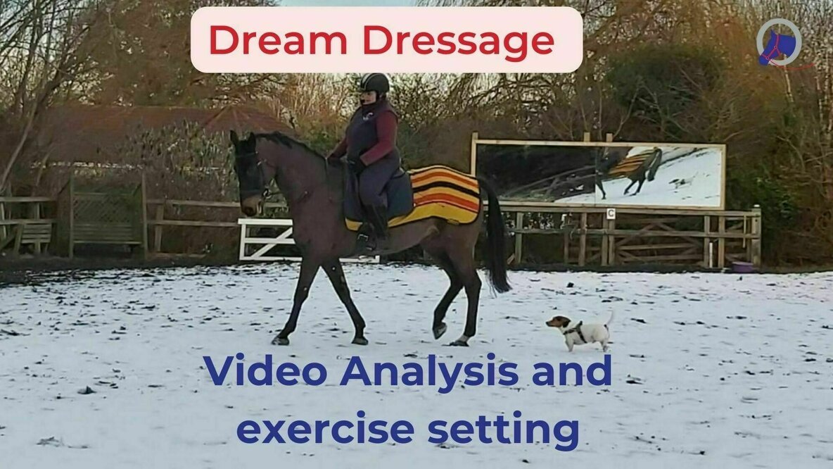 Ros Equine Coach - Dream Dressage Video Analysis