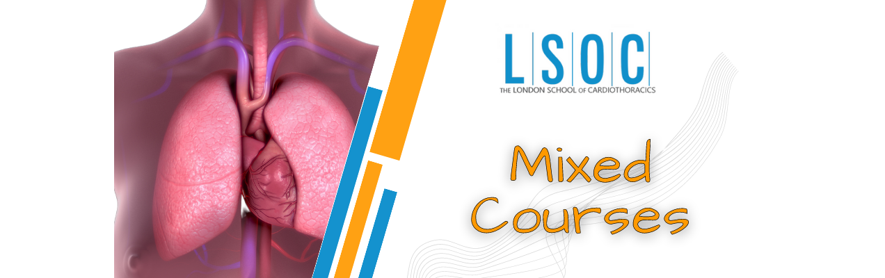 LSOC - Mixed Courses