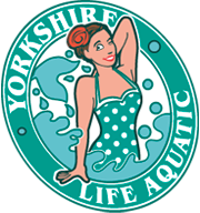 Yorkshire Life Aquatic logo