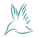 Kingfisher Content & Seo Wigan logo