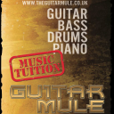 The Guitar Mule