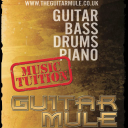 The Guitar Mule logo