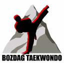 Bozdag Taekwondo Academy