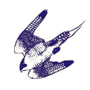 Falcons Gymnastics Academy logo