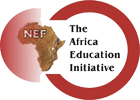 African Education Initiative