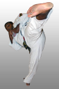 Southern Lion Martial Arts logo