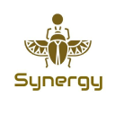 Synergy Wing Chun logo