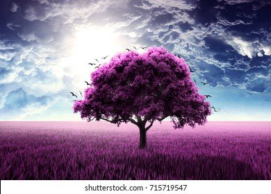 Purple Tree logo