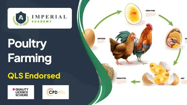 Poultry Farming Level 3, 4 & 5
