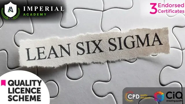 Lean Six Sigma Black Belt and Process Improvement with Six SIgma