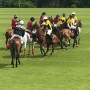 Cortium Sports Polo Club