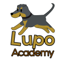Lupo Academy Dog Training