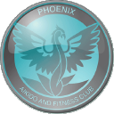 Phoenix Aikido & Fitness Club logo