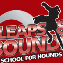 Leaps And Bounds School For Hounds Outdoor Training Centre logo