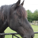 The Clwyd Special Riding Centre