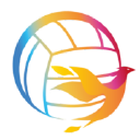 Fireball Beach Volleyball Devon logo