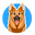 The Newcastle Dog Trainer logo