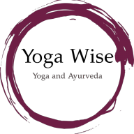 Yoga Wise Studio