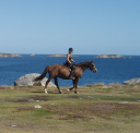 St. Mary'S Riding Centre Ltd logo