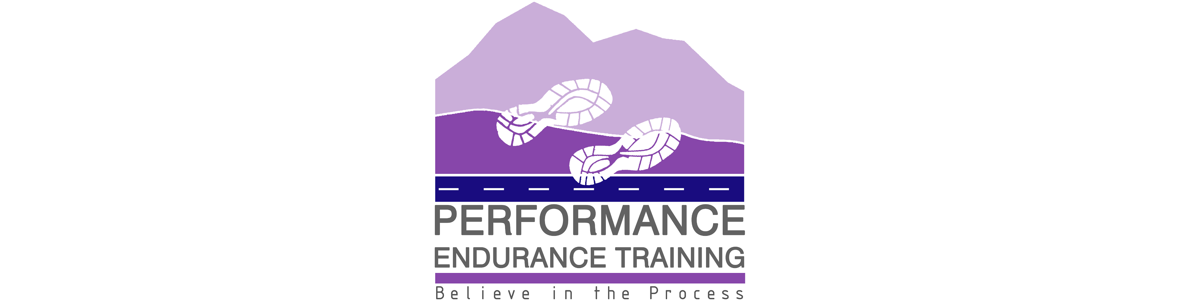 Endurance Sport Performance logo