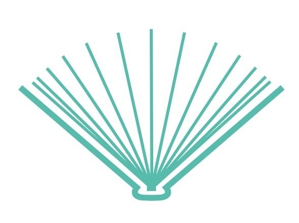 Savvy Tutor logo