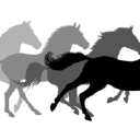 4 Gaits Riding School logo