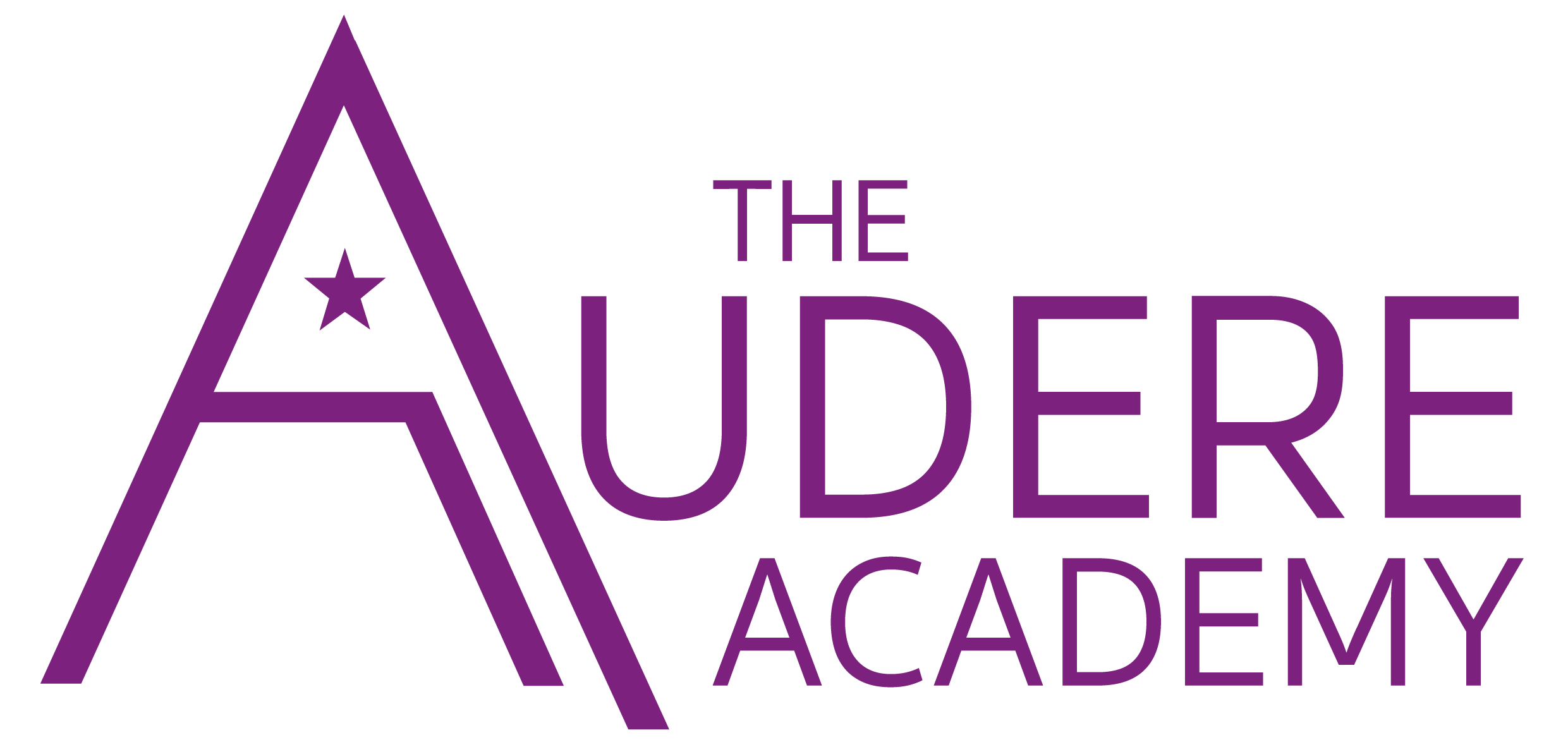 The Audere Academy