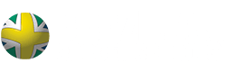 Brazilian Soccer Schools Dublin logo