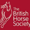 Aberconwy Equestrian Centre logo
