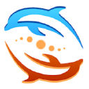 Shell Bay Watersports logo
