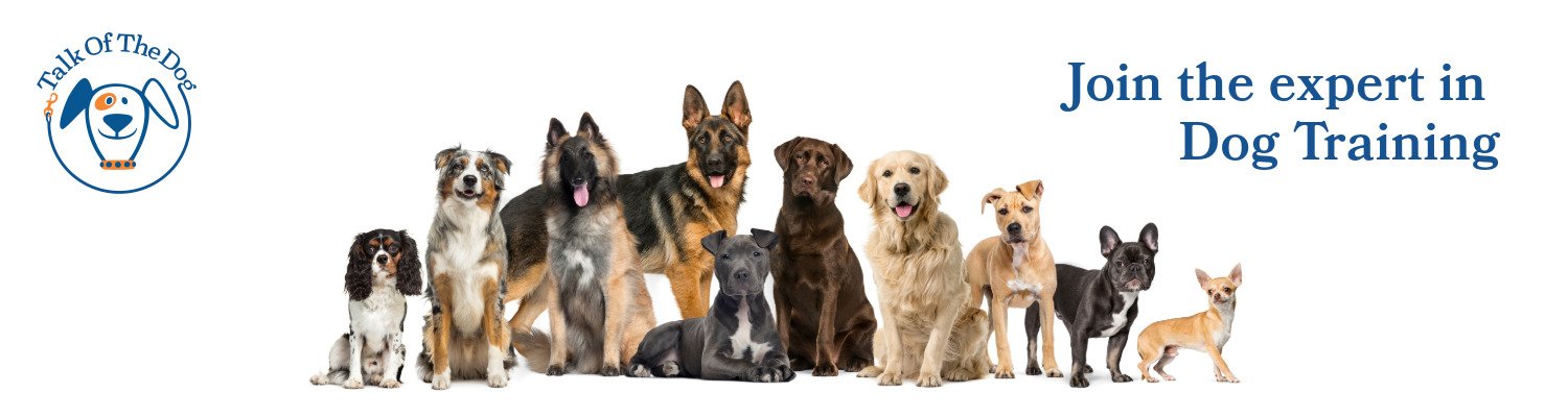 Puppy Training and Socialisation Classes