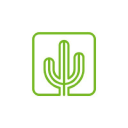 Square Cactus