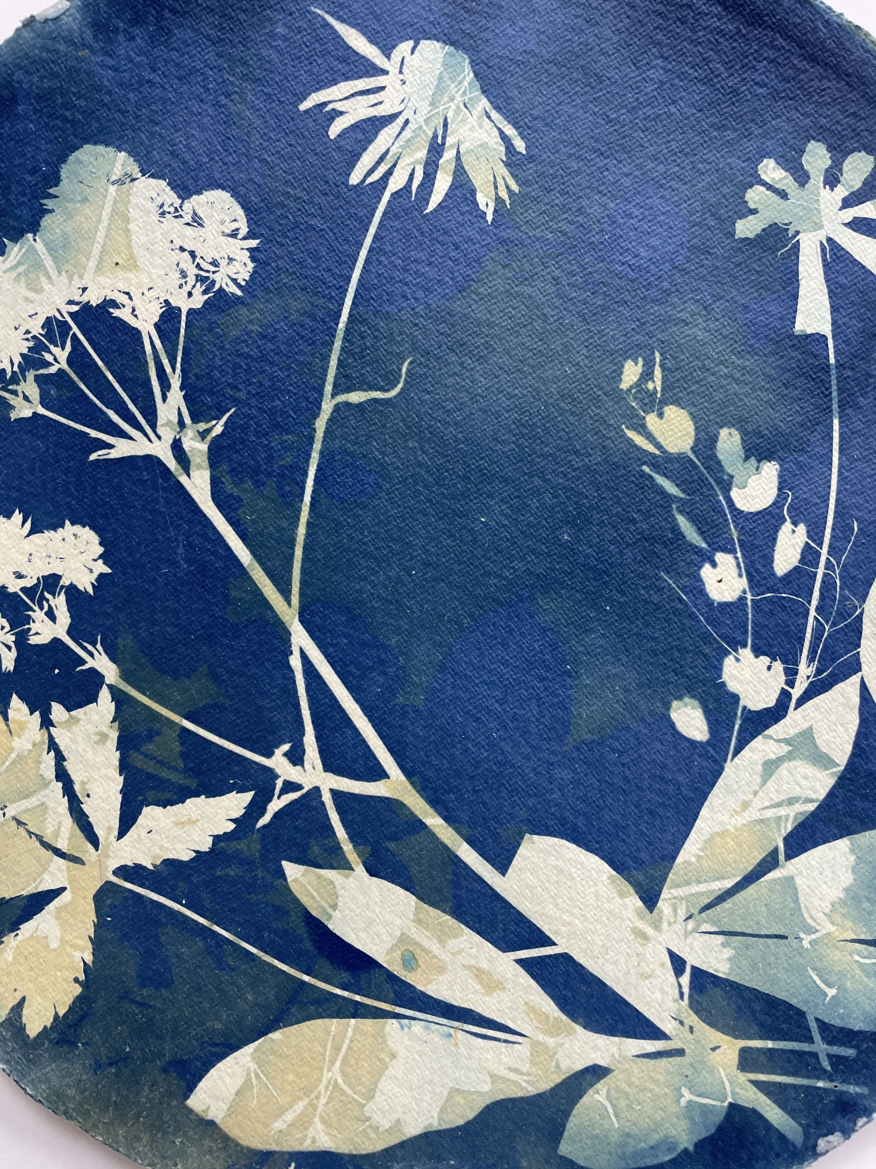 Artful Cyanotypes - Photograms, toning and double exposures