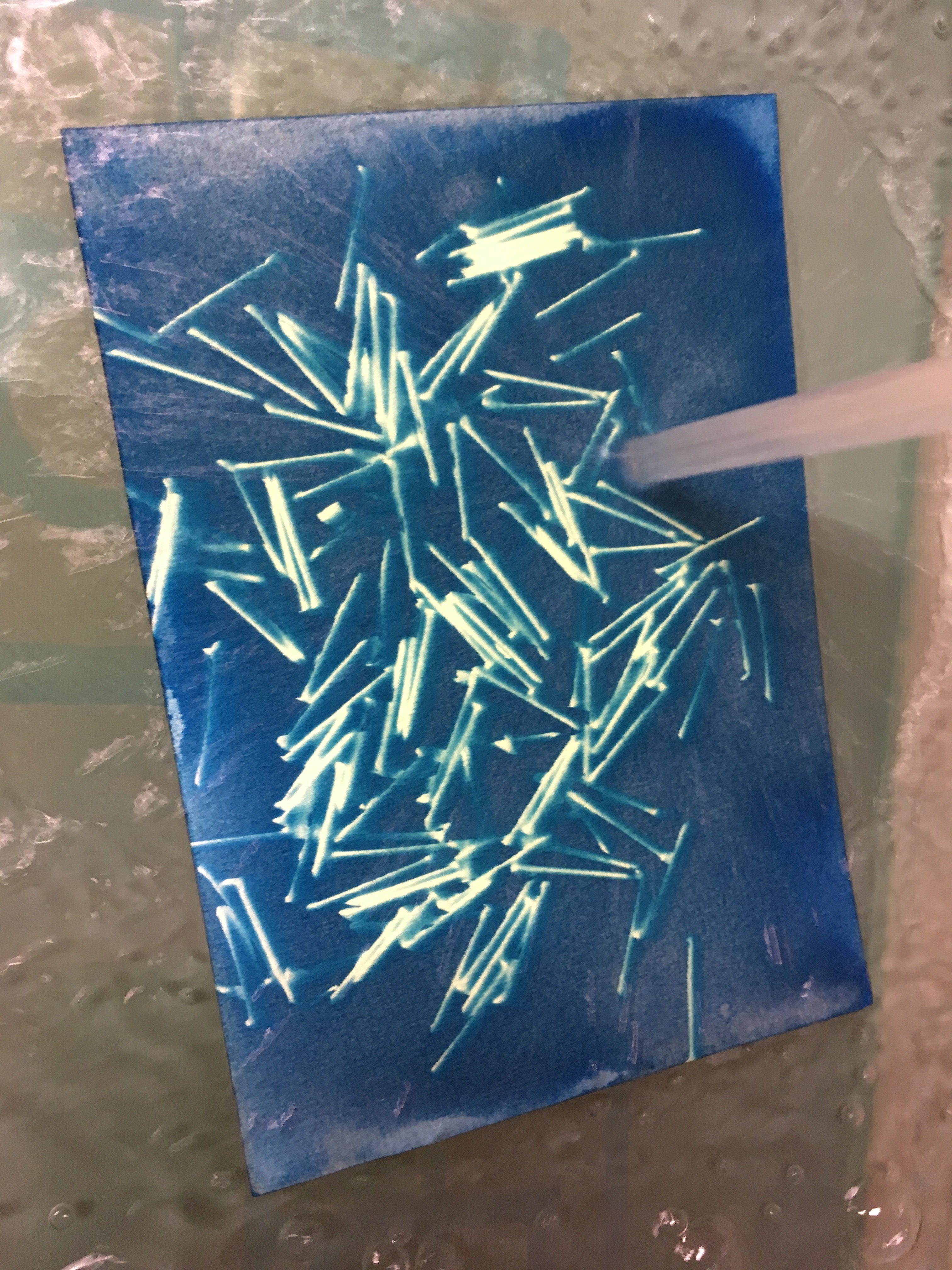 Artful Cyanotypes - Photograms, toning and double exposures