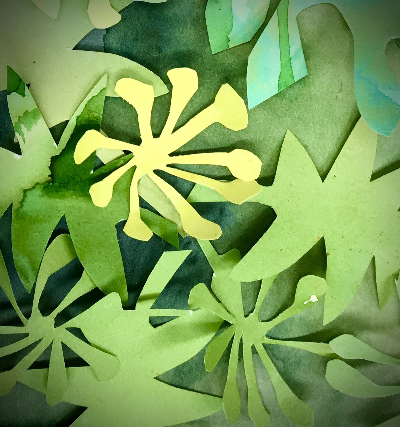 Wet cyanotypes: Artful Botanics Summer Term at Norfolk School of Gardening