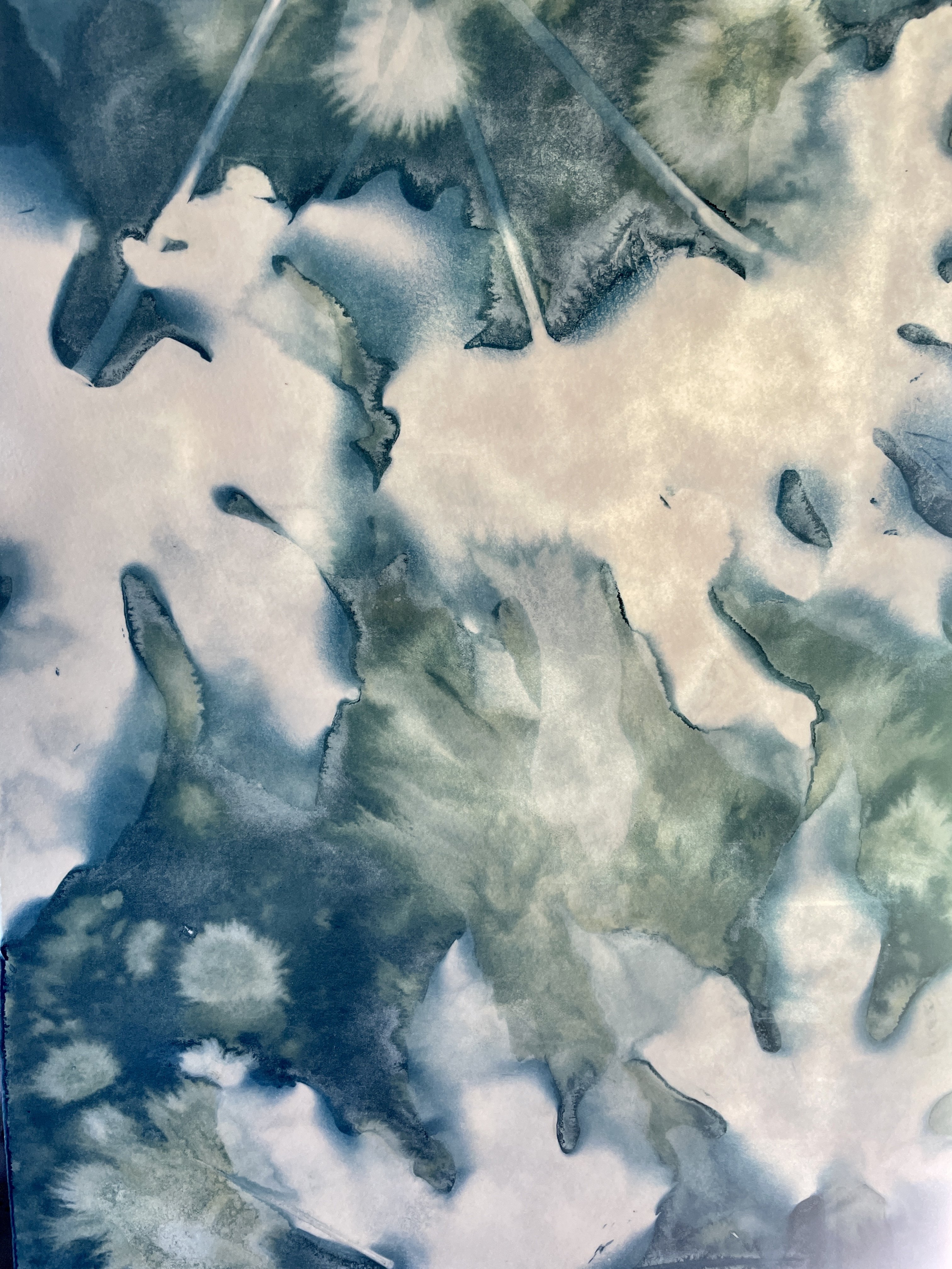 Artful Cyanotypes - Wet Cyanotypes and creating colours