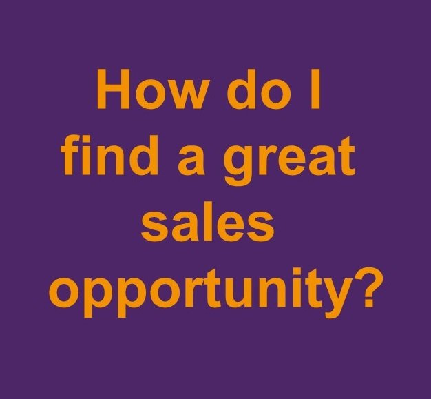 How do I find a great sales opportunity? (in person)