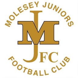Molesey Juniors F.C.