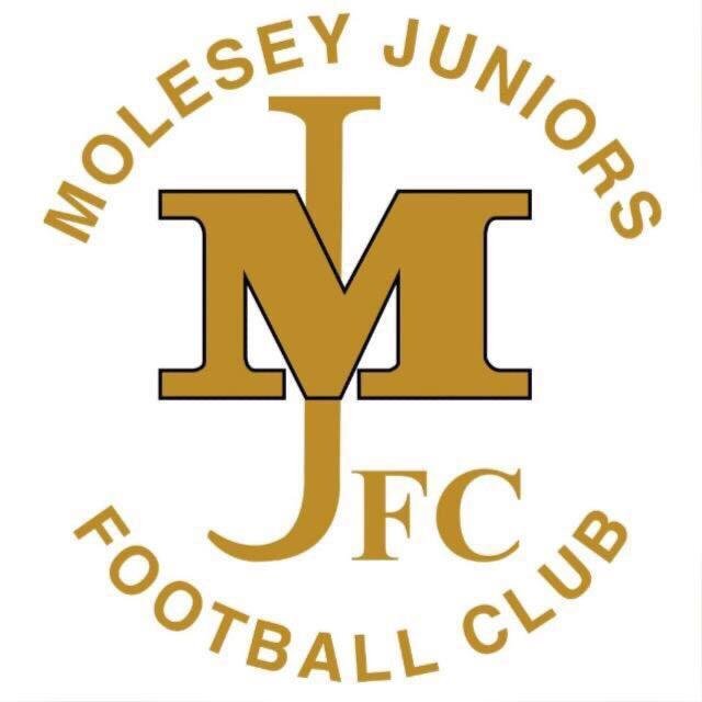 Molesey Juniors F.C. logo