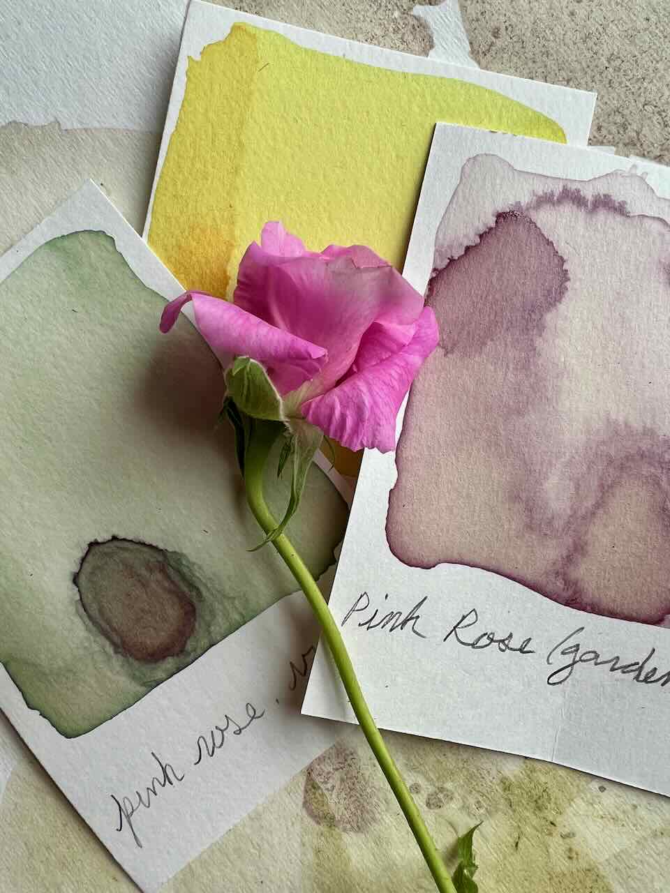 Introduction to Botanical Ink