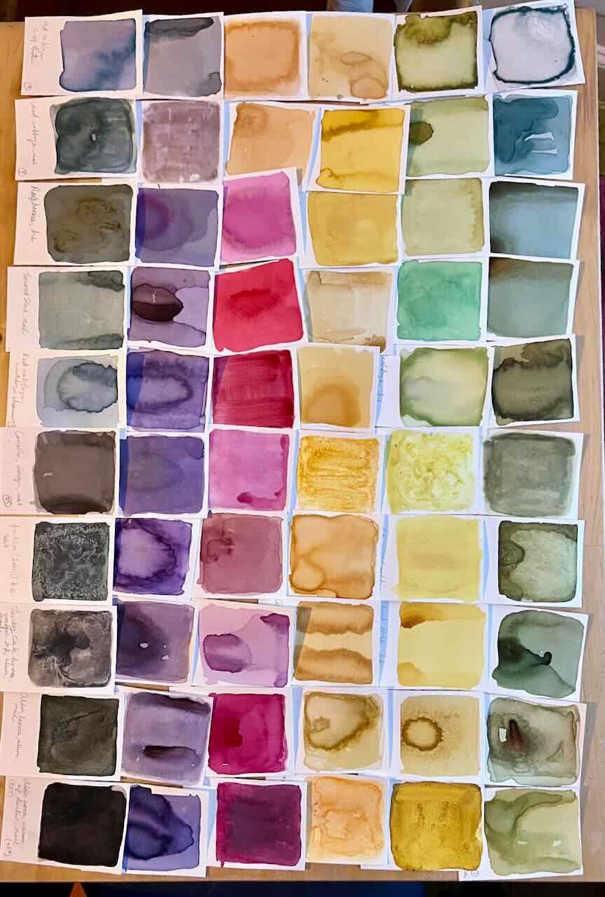 Introduction to Botanical Ink