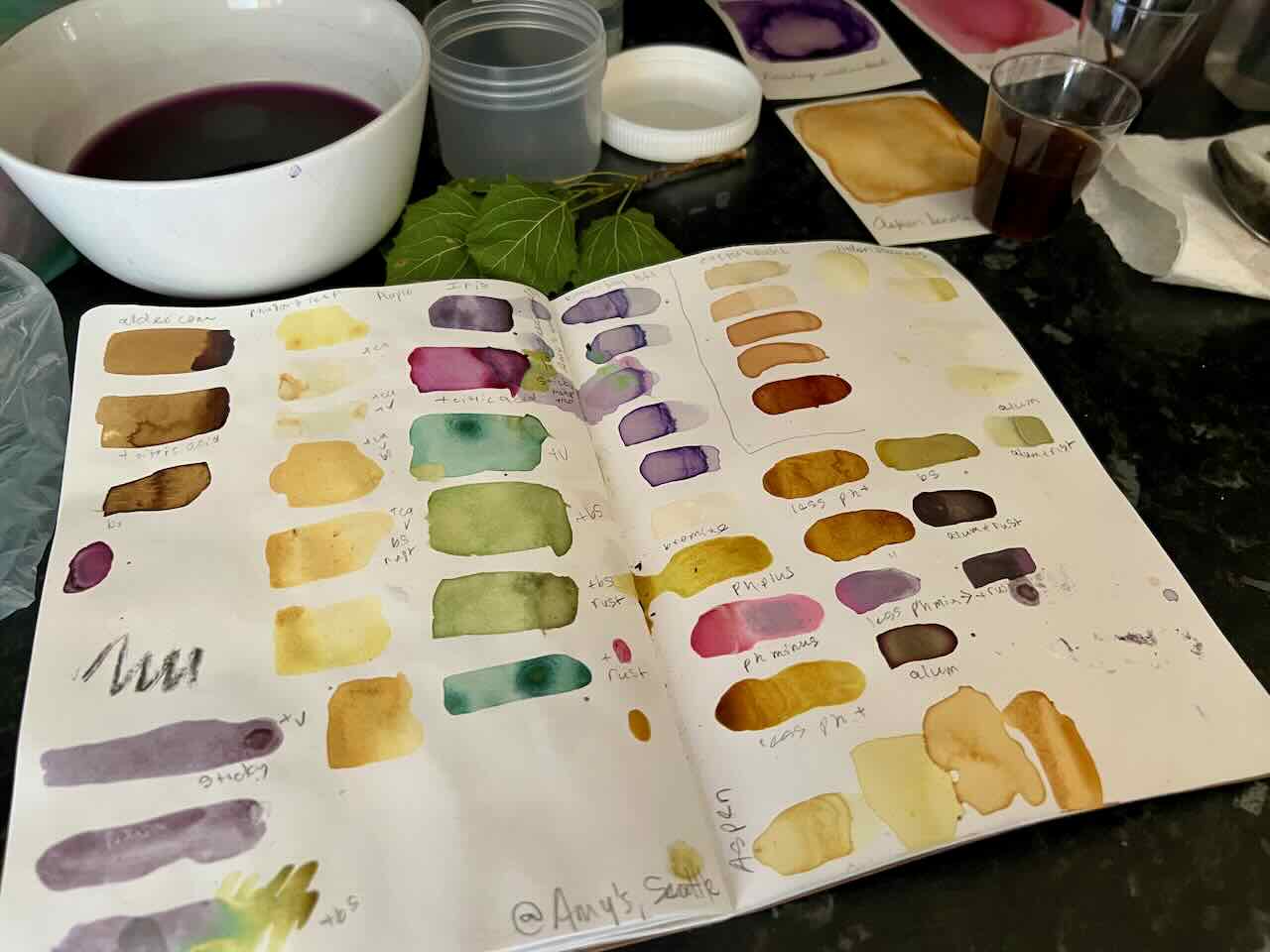 Introduction to Botanical Ink