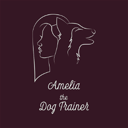 Amelia the Dog Trainer