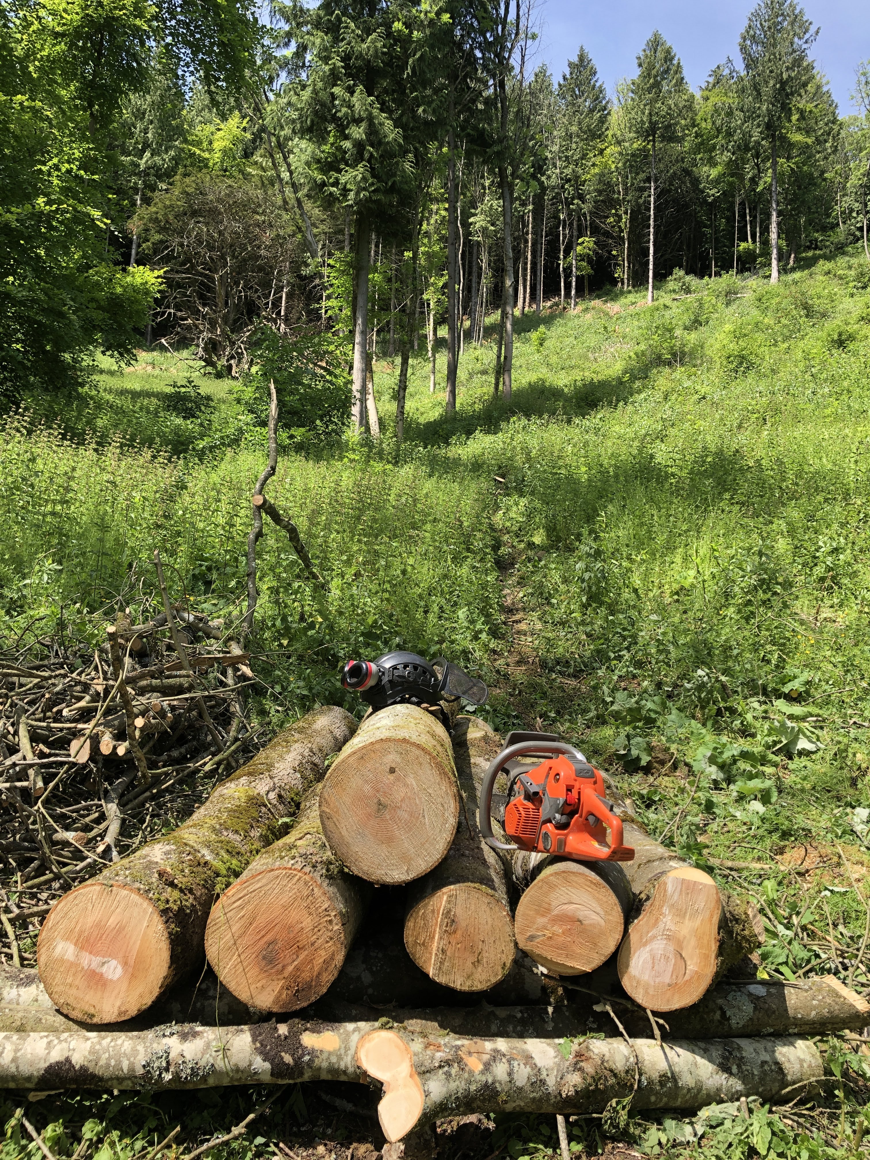 Chainsaw Maintenance and Cross-Cutting