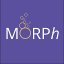 Morph Consultancy Ltd